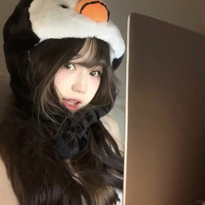 笨鸟满天飞